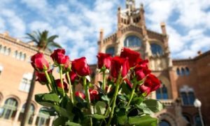 Les roses à offrir durant la Sant Jordi à Barcelone